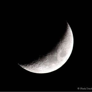 Meet your Posher, Iceradiator